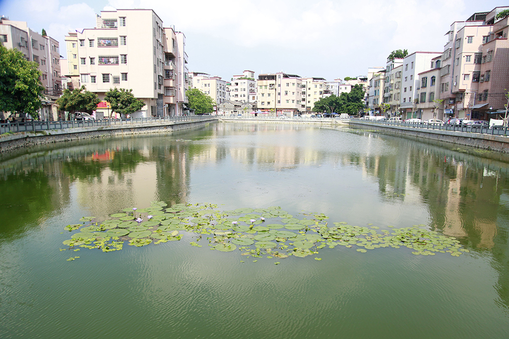 广州147条水体消除黑臭，将再建六座污水处理厂实现全覆盖